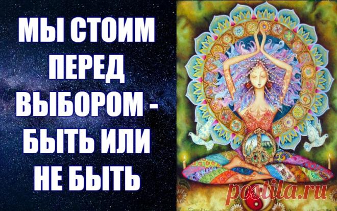 Как писал выдающийся французский ученый Тейяр де Шарден, человек есть «эволюция, осознавшая  саму себя». Это значит, что сегодня от сознательного отношения человека и человечества к объективным законам эволюции зависит и ход этой эволюции, ее восхождение от низшего к высшему.