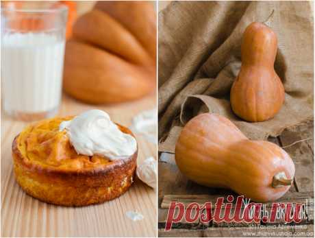 Творожная запеканка с тыквой – самая вкусная Творожная запеканка  универсалочка на любой кухне, где вообще готовят. Я в этом всецело уверенна. Это ведь даже проще, чем напечь блинов или приготовить сырников ! И несмотря на всю простоту, приготовить ее можно десятками разных способов. Сегодня хочу поделиться таким вариантом, который…