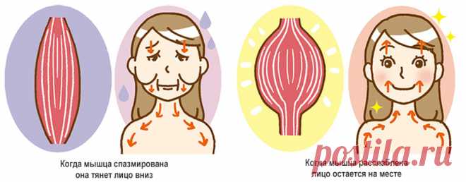 Обвисшие щеки: как вернуть упругий овал лица