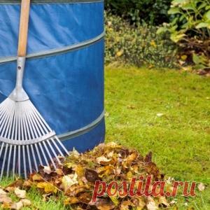 Листовой перегной: как приготовить и использовать