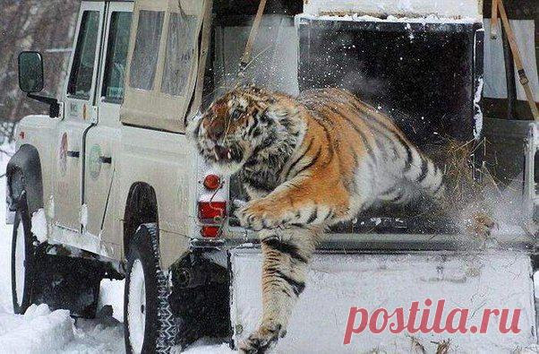 Фотографии на стене сообщества | 32 786 фотографий | ВКонтакте