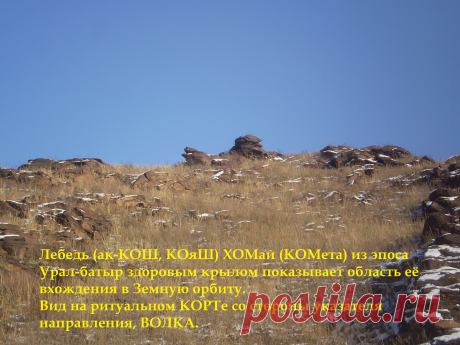 Лебедь (Ак-КОШ, КОяШ) ҺОМай (КОМета) со сломанным крылом. Вид со стороны ориентирного указателя головы Волка, по которому всегда ориентировались в древности предки башКОРТов.