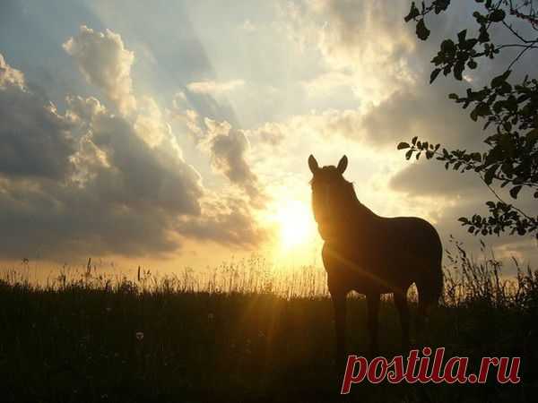 ЛЮБЭ...из Люберец - Копилочка: все самое интересное,полезное, красивое!!! - Группы Мой Мир