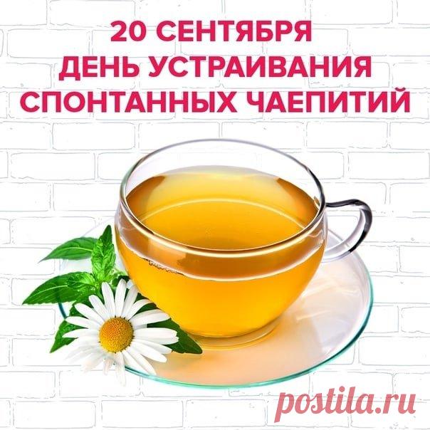 Чай попить вам с наслаждением
Пожелаю я сейчас,
Чтоб настрой ваш стал бодрее
И азарт чтоб не погас.