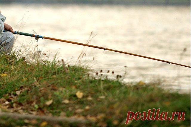 Планета Земля и Человек: Под Волгоградом спасли от высыхания пруд, популярный у любителей рыбалки