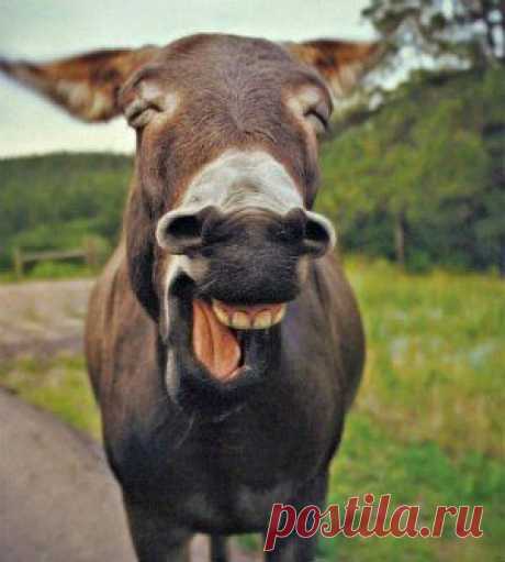 Улыбнитесь и пусть у вас все будет хорошо.:)