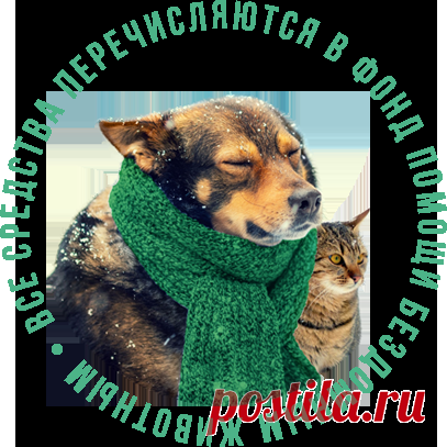 Наверняка среди вас есть люди, которые хоть раз накормили на улице котёнка, собаку или еще как-то помогли бездомным животным. И нам очень хочется верить, что таких людей много. Тех, кто не отвернется, не пройдет мимо, а поможет. Если вы из их числа — НЕ ПРОХОДИТЕ МИМО нашей социальной акции! Алексей Маматов (врач-невролог, остеопат и фитотерапевт) запускает Онлайн-конференцию “СУПЕРЗДОРОВЬЕ-2018” со сбором пожертвований в помощь приютам ДЛЯ БЕЗДОМНЫХ КОШЕК И СОБАК.