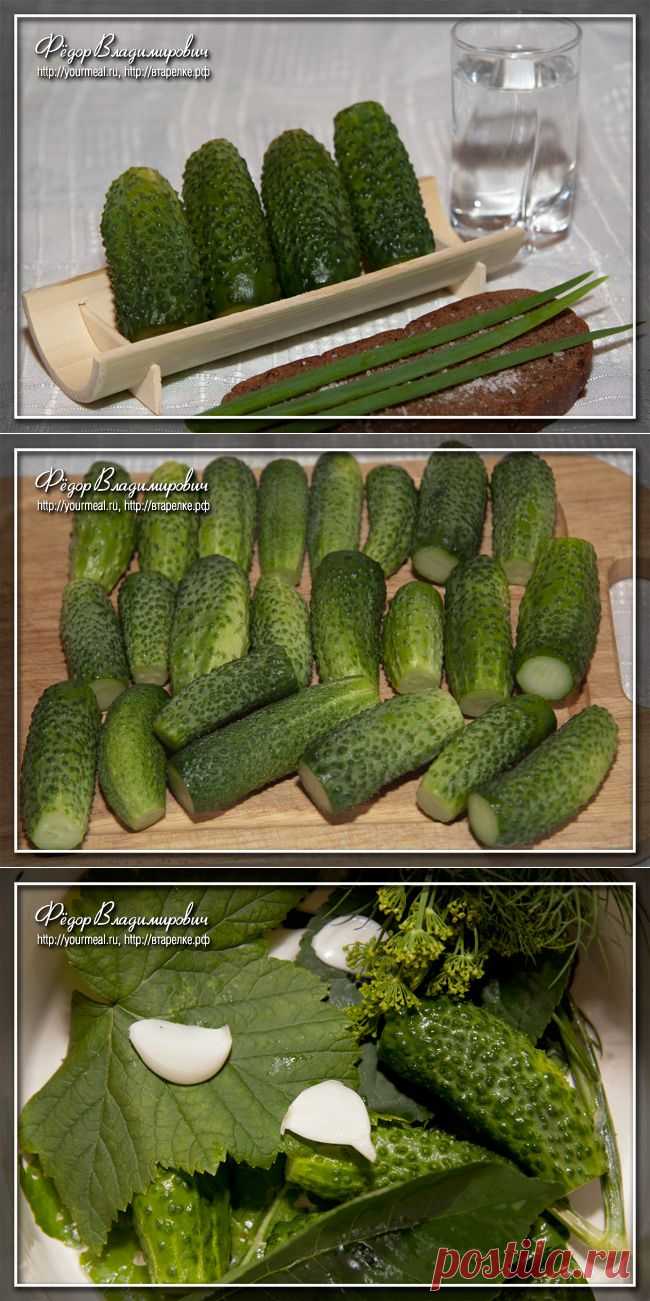 Малосольные огурцы