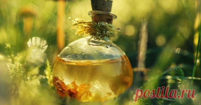 Касторка: скрытый резерв Зачем тратить деньги в аптеках на дорогостоящие лекарства, когда можно применять гораздо более дешевые и действенные народные средства? К сож