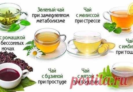 Чай способен на многое! Узнай, как влияют на организм разные виды этого напитка.