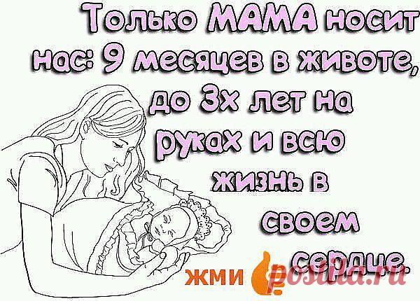 магомед маджидов
36 лет, Россия, Махачкала
все его фото