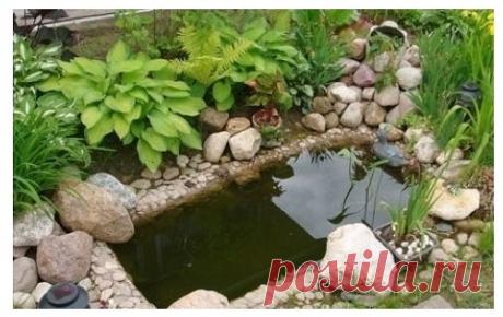 (4) Одноклассники