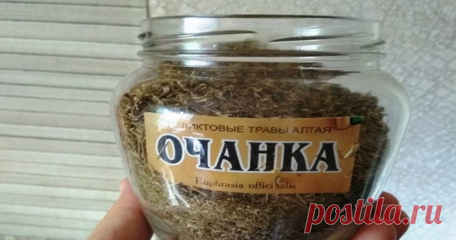 Очанка — помогает зрению и памяти! Попробуйте этот рецепт В народной медицине пользуется большой популярностью, особенно при заболеваниях глаз. Хорошо помогает и при нарушении памяти.