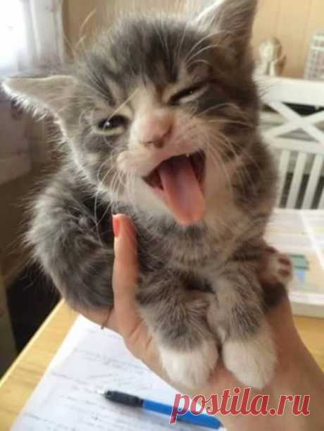 are you sure you've finished all your homework dear !!! :(