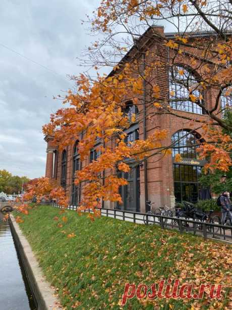 Эстетика осеннего Питера | Aesthetics of autumn St. Petersburg