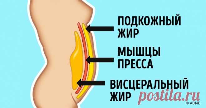Этот комплексный метод поможет быстро убрать жир с живота Как правило, чтобы от диеты был эффект, нужно подобрать к ней правильные упражнения. Или, наоборот: чтобы увидеть результат от занятий спортом, важно есть подходящую еду. Подобрать диету и упражнения так, чтобы они сочетались друг с другом и подходили именно вам, очень и очень сложно. Поэтому AdMe.ru сделал это за вас, составив комплекс, который поможет похудеть, повысить метаболизм и не займет много времени. А еще он универсальный.