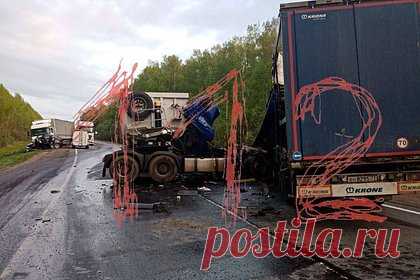 Массовое ДТП с погибшими произошло на федеральной трассе в России. В Нижегородской области произошло массовое ДТП, сообщает канал «112». По его информации, на федеральной трассе М-7 «Волга», в районе населенного пункта Никольское, столкнулись три грузовика, «Газель» и легковой автомобиль. В результате случившегося погибли четыре человека. На месте работают экстренные службы.