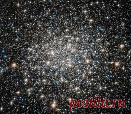 ИНОПЛАНЕТНЫЙ РАЗУМ. Alien Mind.