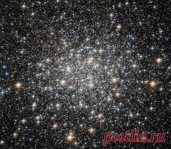 ИНОПЛАНЕТНЫЙ РАЗУМ. Alien Mind.