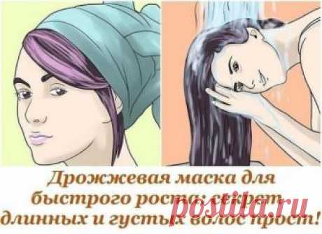 Дрожжевая маска для быстрого роста: секрет длинных и густых волос прост! Дрожжи имеют богатый минеральный и витаминный состав, благодаря ему дрожжевые маски так полезны для наших волос. Такие маски подходят как для сухих, так и для жирных волос. Они придают волосам силу, объем и делают их ухоженными. Если соблюдать курс лечения, в скором времени волосы будут расти в буквальном смысле «как на дрожжах». Для проведения таких процедур посуду бери побольше, поскольку дрожжи нач...