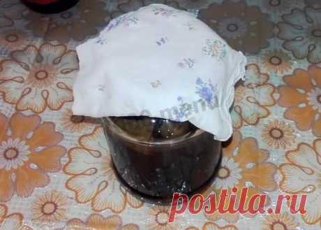 Закваска для кваса на березовом соке рецепт с фото пошагово и видео - 1000.menu