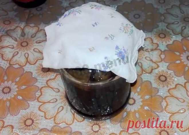 Закваска для кваса на березовом соке рецепт с фото пошагово и видео - 1000.menu