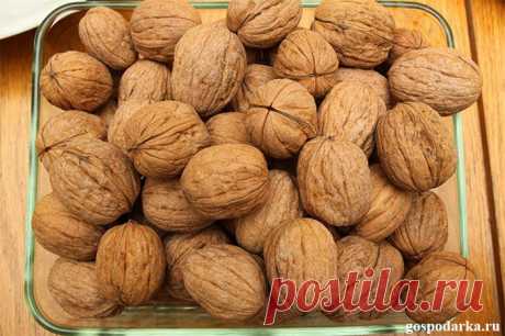 Праздничные орешки с предсказаниями | Gospodarka.ru – блог в помощь