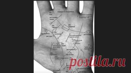 Хиромантия с Василисой Дождь | Здоровье по руке. Или почему не стоит ставить диагнозы себе по интернету? хиромантия