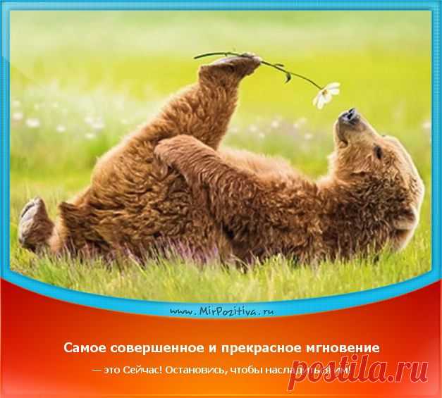 Позитивчики Недели (смотреть фото)