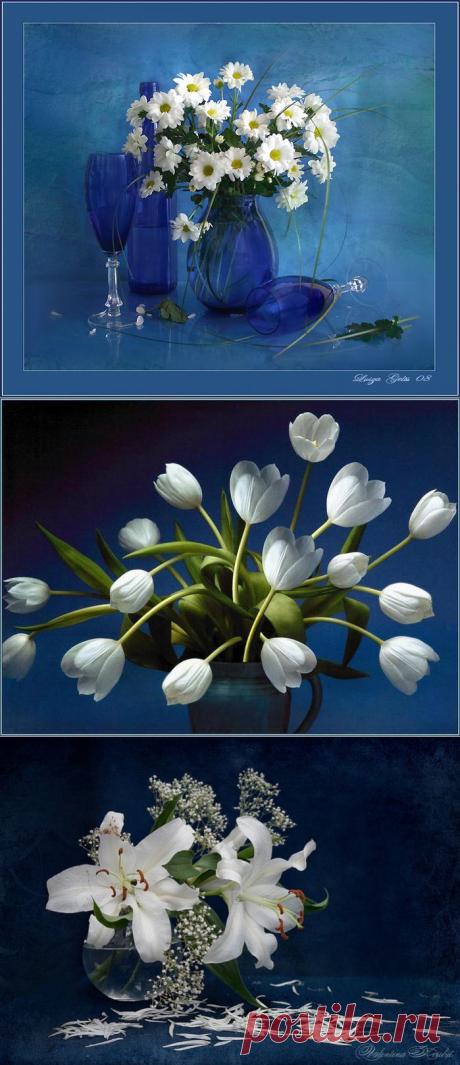 Белые цветы на синем фоне.