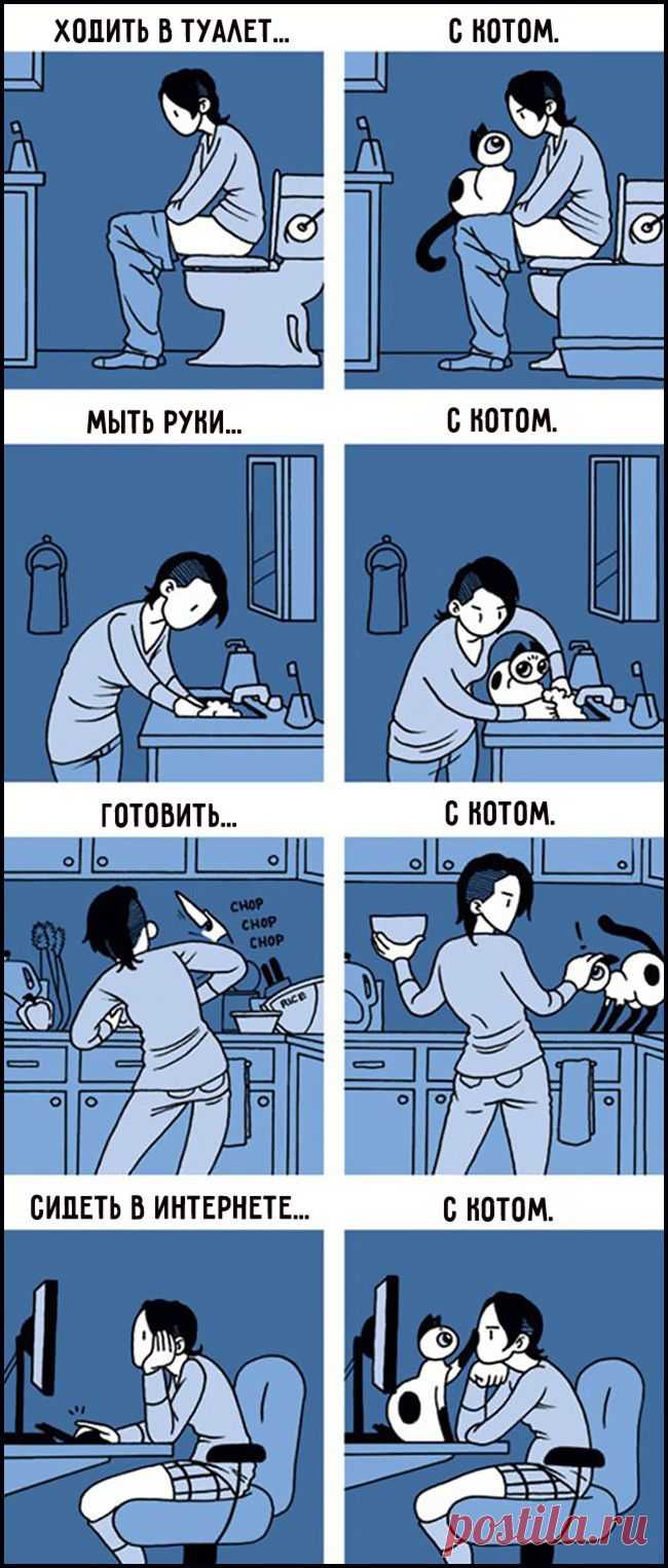 15 забавных комиксов про отношения кошек и людей / Surfingbird знает всё, что ты любишь