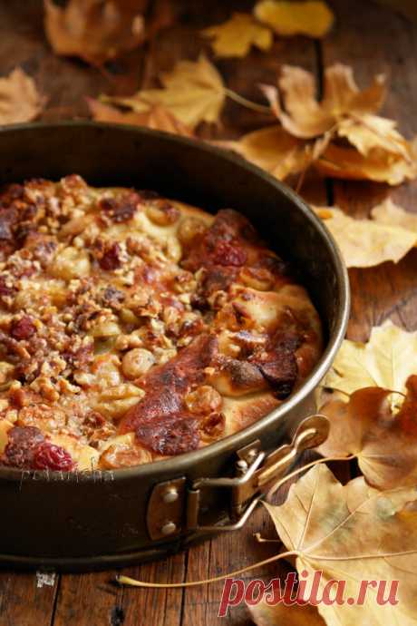Скьяччата (schiacciata) с виноградом и сыром - Блог настоящей тёщи — LiveJournal