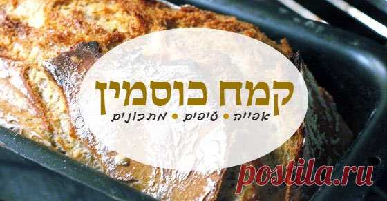 קמח כוסמין: אפייה נכונה • טיפים • מתכונים מנצחים - FoodisGood בלוג כל מה שרציתם לדעת על אפייה עם קמח כוסמין: אפייה נכונה, איך לאחסן, מה ניתן להכין עם קמח כוסמין וגם - 9 מתכונים, מתוקים ומלוחים, עם קמח כוסמין!