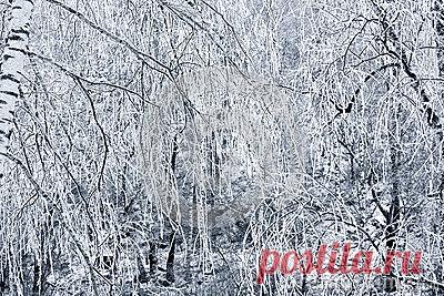 Stock Photos, Royalty-Free Images & Video Footage By Dreamstime Stock Photography