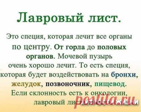 ЛАВРОВЫЙ ЛИСТ В ПОМОЩЬ 
Именно остеохондроз является причиной боли в спине в 80% случаев.
Для тех, у кого застарелый остеохондроз, лучше любых мазей из аптеки помогают средства на основе лаврового листа.
Вот отличные рецепты:
1) Лавровое масло. Залить стаканом оливкового масла 1 ст. ложку мелко нарезанных лавровых листьев и настаивать 15 дней в теплом месте. Лучше всего втирать масло в больные места на ночь, а потом тепло укутываться.
2) Настой. Взять 1 ч. ложку измельченных листьев и залить 1