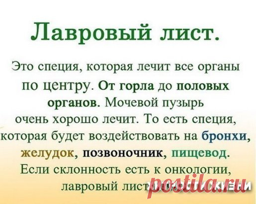 ЛАВРОВЫЙ ЛИСТ В ПОМОЩЬ 
Именно остеохондроз является причиной боли в спине в 80% случаев.
Для тех, у кого застарелый остеохондроз, лучше любых мазей из аптеки помогают средства на основе лаврового листа.
Вот отличные рецепты:
1) Лавровое масло. Залить стаканом оливкового масла 1 ст. ложку мелко нарезанных лавровых листьев и настаивать 15 дней в теплом месте. Лучше всего втирать масло в больные места на ночь, а потом тепло укутываться.
2) Настой. Взять 1 ч. ложку измельченных листьев и залить 1