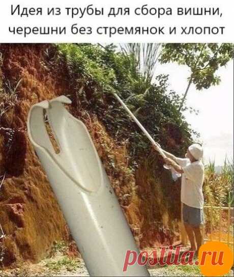 Фотографии на стене сообщества | ВКонтакте