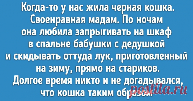 6 особенностей жизни с котом, о которых не догадываются даже опытные заводчики Кошки живут бок о бок с человеком более 9 000 лет. Для нас они уже давно не обычные мышеловы, а верные друзья. Коты ассоциируются с загадками и магией, поэтому всем нам хоть раз хотелось приоткрыть завесу тайны и понять, о чем они думают и какими видят своих людей.