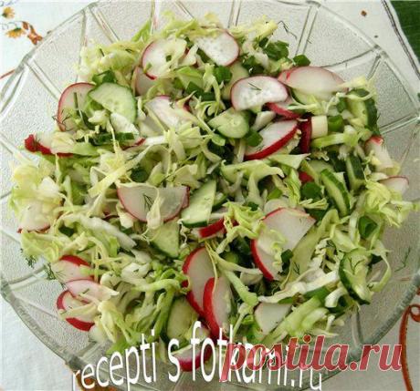 Салат из капусты с огурцом и редисом - пошаговый рецепт с фото