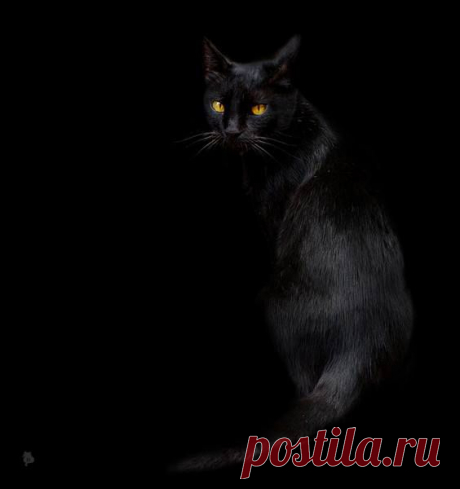 В темноте...