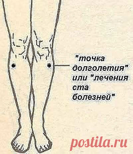 1 непрочитанный чат