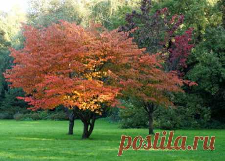 337 карточек в коллекции «Фото недели с 28 сентября по 4 октября» пользователя ЯндексКоллекции в Яндекс.Коллекциях