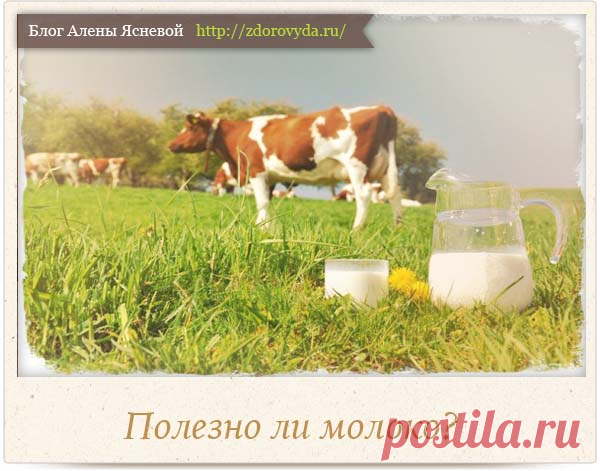 Полезно ли молоко для взрослого человека?
