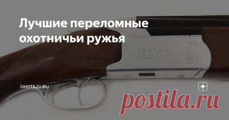 Лучшие переломные охотничьи ружья В современном мире существует огромный выбор охотничьих ружей: от бюджетных классических курковых двустволок...