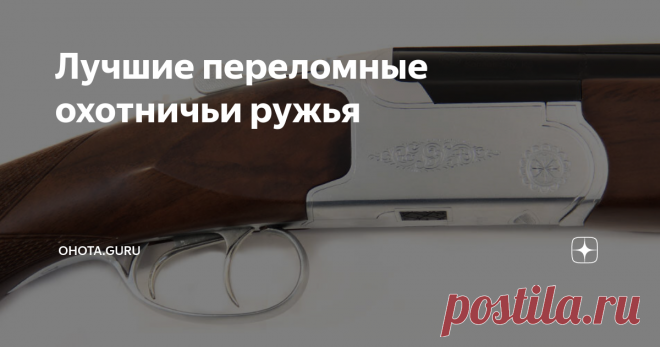 Лучшие переломные охотничьи ружья В современном мире существует огромный выбор охотничьих ружей: от бюджетных классических курковых двустволок...