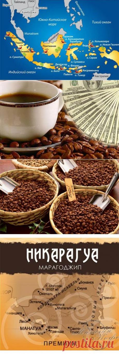 Сорта кофе разных регионов мира