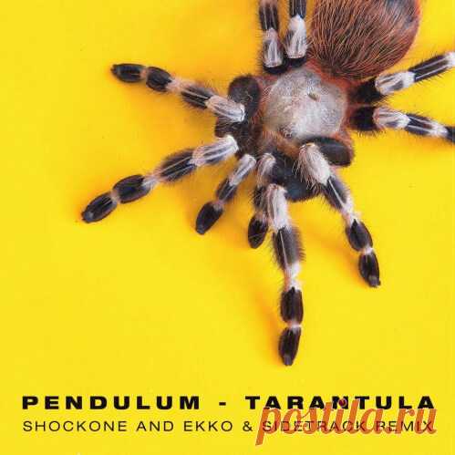 Pendulum, DJ Fresh — Tarantula (ShockOne x Ekko & Sidetrack Remix) wav/mp3 download.