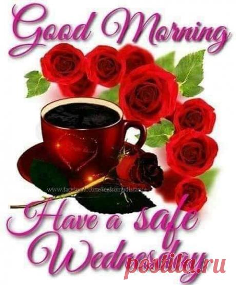 (34) 💋💋💋 LOVELY ROSE 💋💋💋