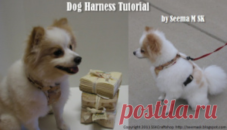 Dog Harness Tutorial « Moda Bake Shop
