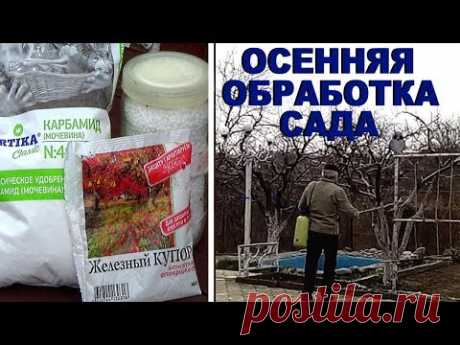 Чем опрыскать деревья на зиму  Осенняя обработка сада